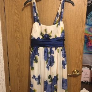 Blue Floral Spring Dress